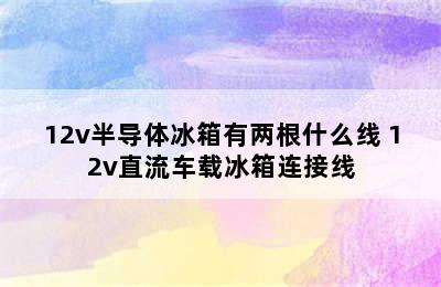 12v半导体冰箱有两根什么线 12v直流车载冰箱连接线